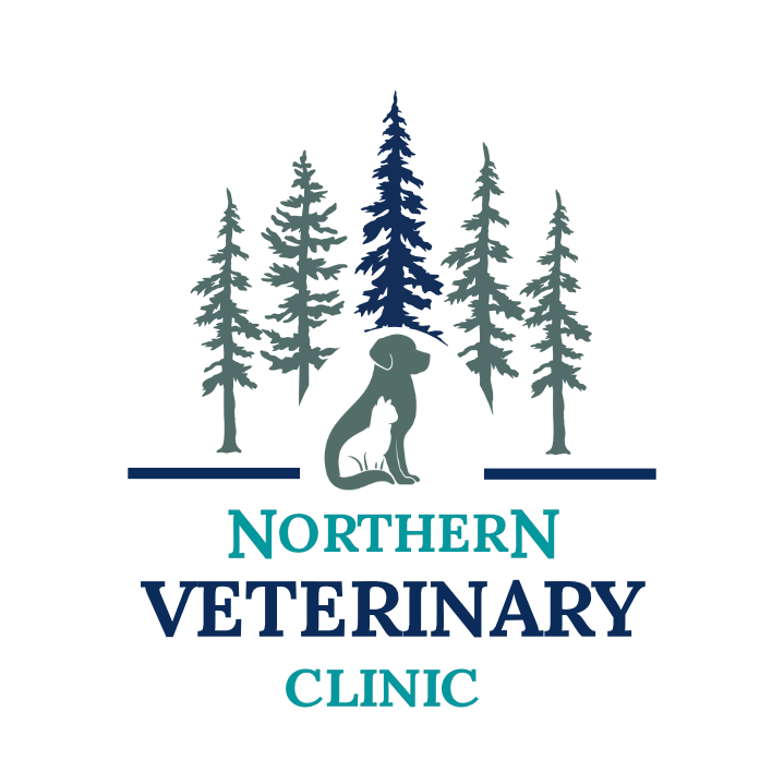 Clinic Picture Tour Northern Veterinary Clinic